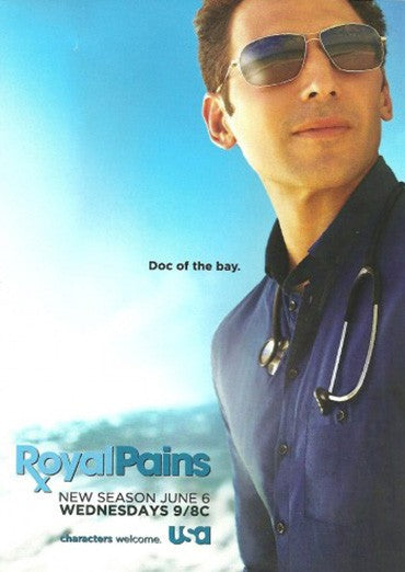 1000 piece jigsaw puzzle for tv poster: Royal Pains, ver7