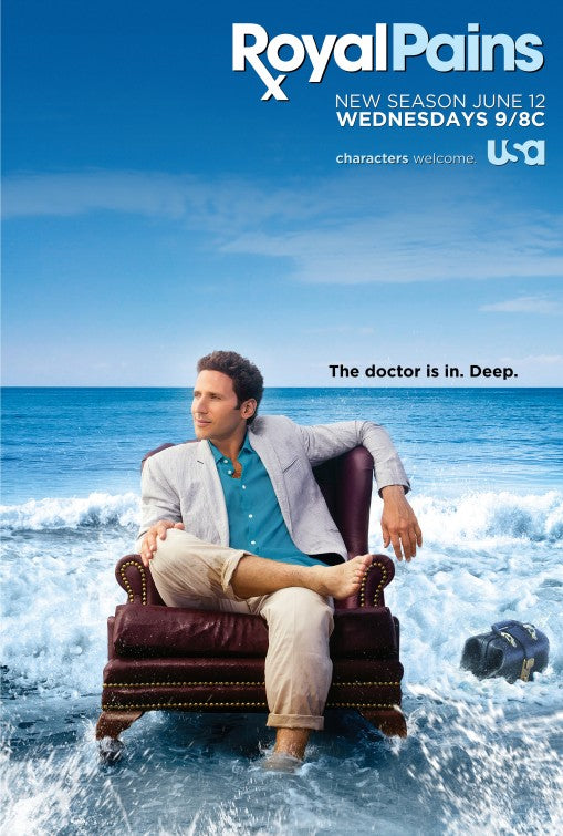1000 piece jigsaw puzzle for tv poster: Royal Pains, ver8