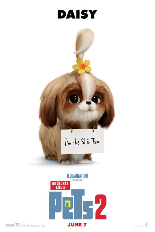 1000 piece jigsaw puzzle for the movie poster: The Secret Life of Pets 2 (2019) ver4