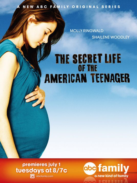 1000 piece jigsaw puzzle for tv poster: The Secret Life of the American Teenager