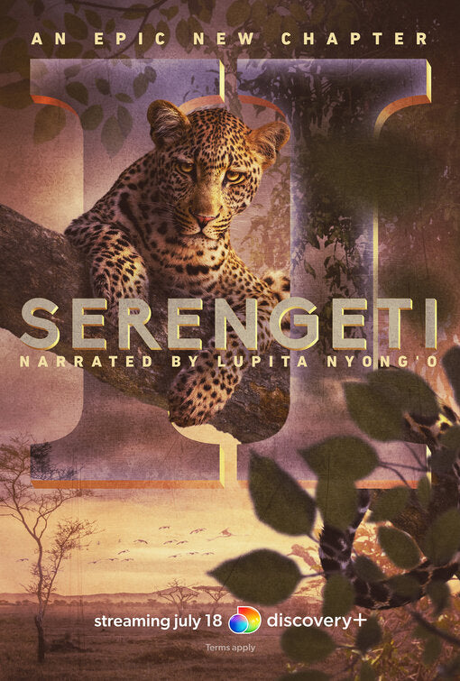 1000 piece jigsaw puzzle for tv poster: Serengeti, ver6