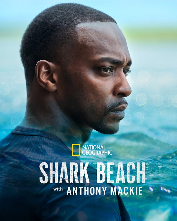 1000 piece jigsaw puzzle for tv poster: Shark Beach with Anthony Mackie