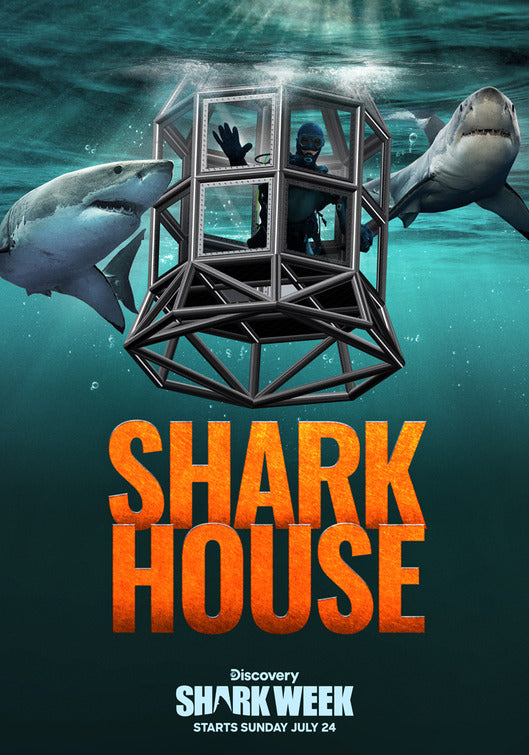 1000 piece jigsaw puzzle for tv poster: Shark House