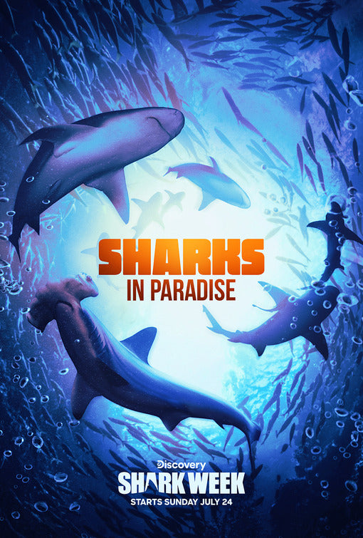 1000 piece jigsaw puzzle for tv poster: Sharks in Paradise