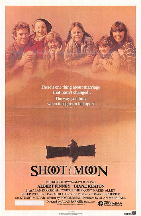 the movie poster: Shoot the Moon (1982)
