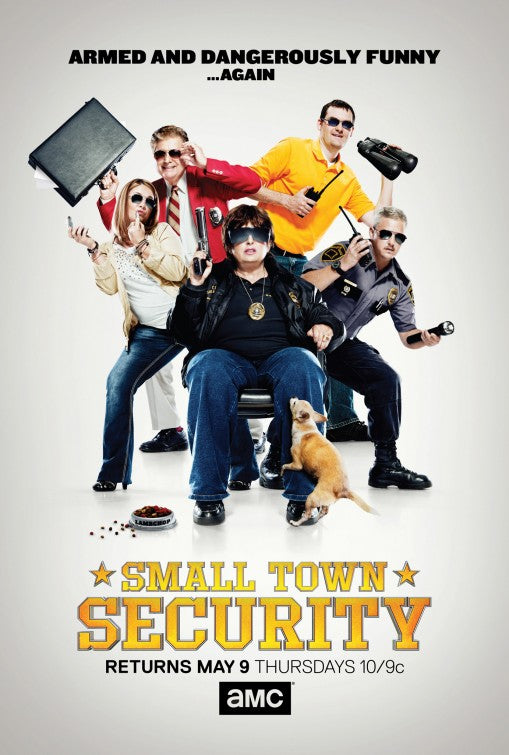 1000 piece jigsaw puzzle for tv poster: Small Town Security, ver7