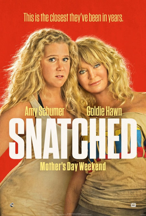 1000 piece jigsaw puzzle for the movie poster: Snatched (2017)