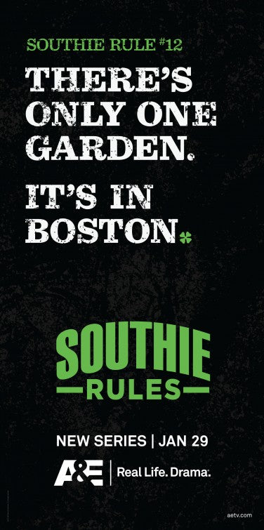 1000 piece jigsaw puzzle for tv poster: Southie Rules, ver5