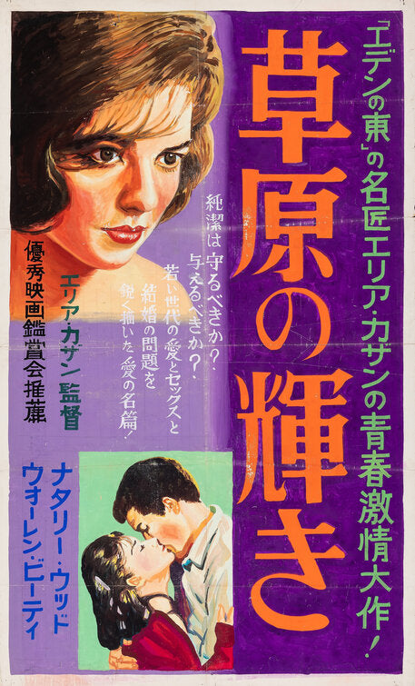 1000 piece jigsaw puzzle for the movie poster: Splendor in the Grass (1961) ver4