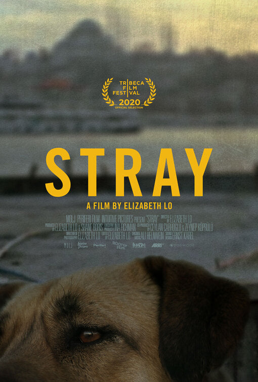 1000 piece jigsaw puzzle for the movie poster: Stray (2021)
