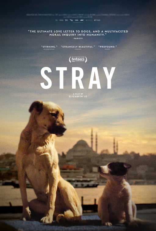 1000 piece jigsaw puzzle for the movie poster: Stray (2021) ver2