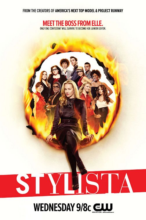 1000 piece jigsaw puzzle for tv poster: Stylista