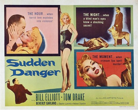 the movie poster: Sudden Danger (1955)