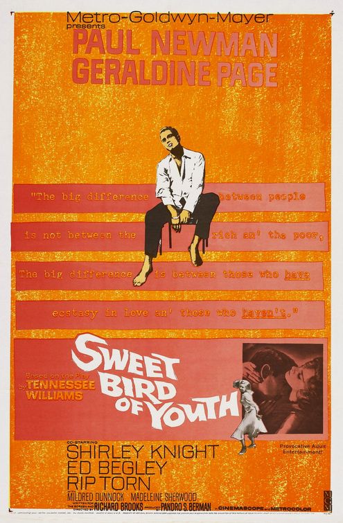 the movie poster: Sweet Bird of Youth (1962)
