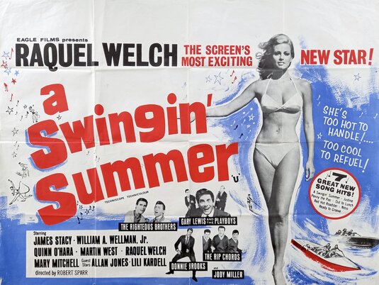 1000 piece jigsaw puzzle for the movie poster: A Swingin' Summer (1965) ver3