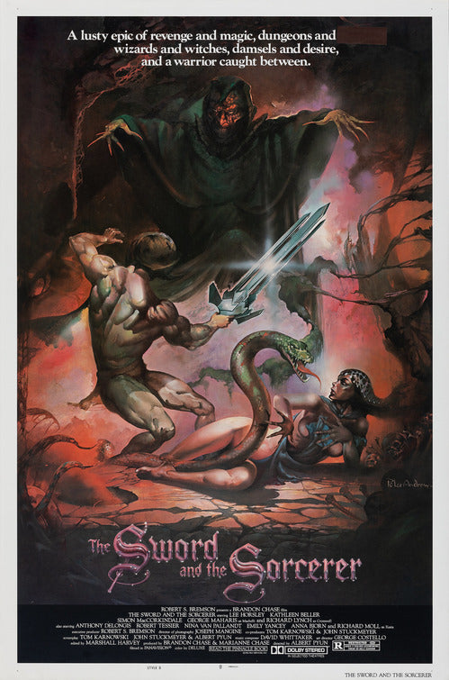 the movie poster: The Sword and the Sorcerer (1982) ver2
