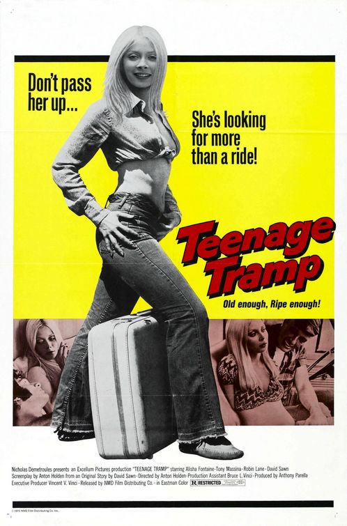 the movie poster: Teenage Tramp (1975)