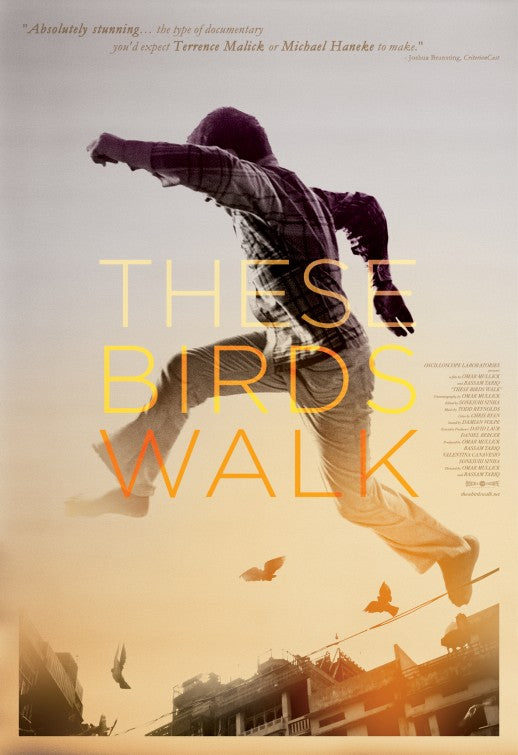 1000 piece jigsaw puzzle for the movie poster: These Birds Walk (2013)