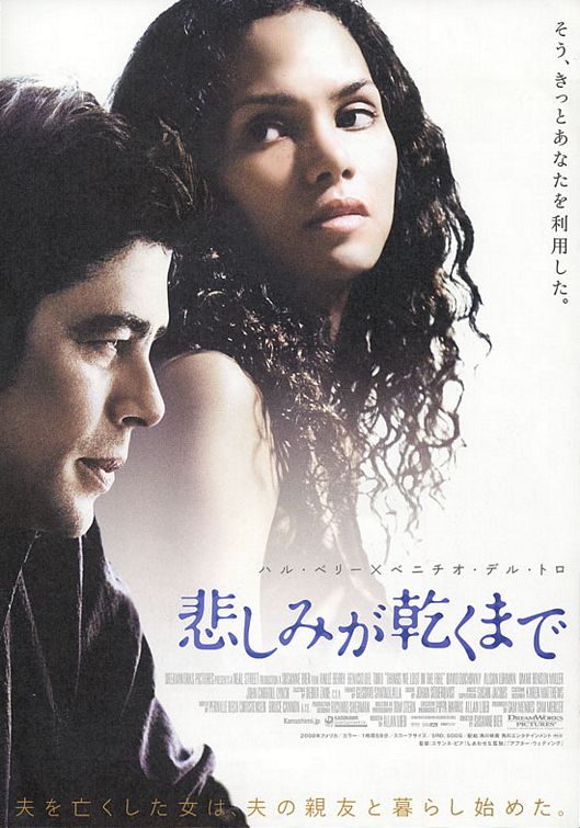 the movie poster: Things We Lost in the Fire (2007) ver2