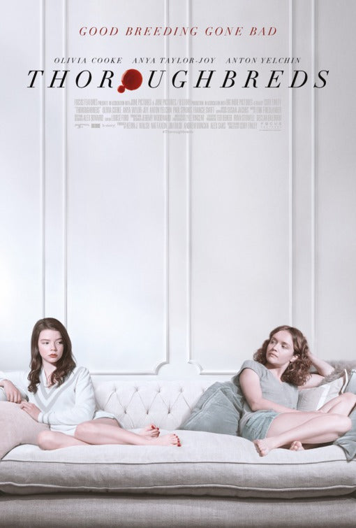 1000 piece jigsaw puzzle for the movie poster: Thoroughbreds (2018) ver2
