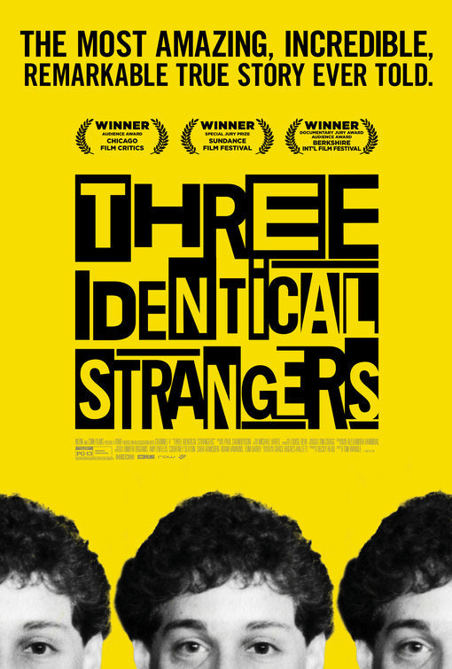 1000 piece jigsaw puzzle for the movie poster: Three Identical Strangers (2018) ver2