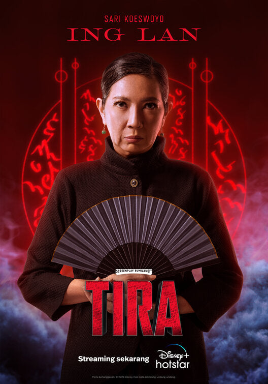 1000 piece jigsaw puzzle for tv poster: Tira, ver8