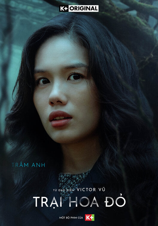 1000 piece jigsaw puzzle for tv poster: Trai Hoa Do, ver7