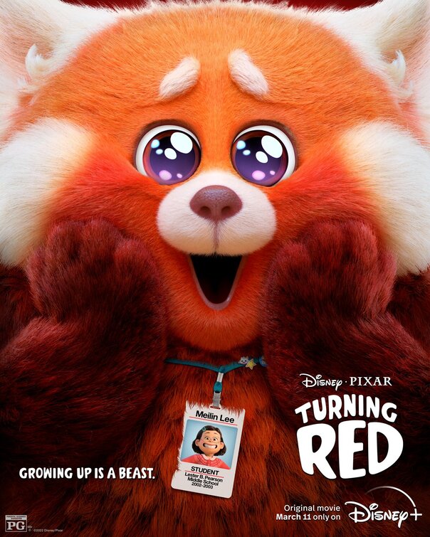 1000 piece jigsaw puzzle for the movie poster: Turning Red (2022) ver7