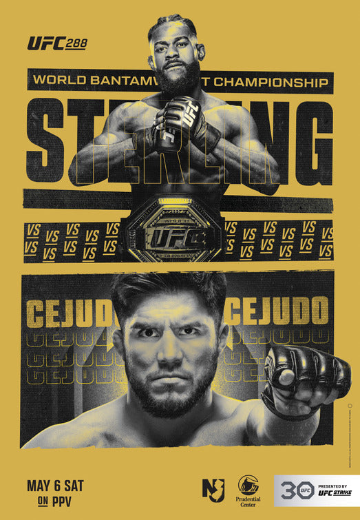 1000 piece jigsaw puzzle for tv poster: UFC 288
