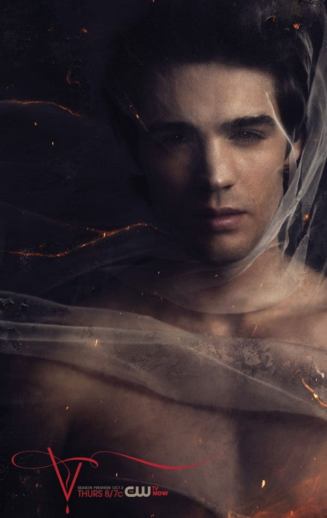 1000 piece jigsaw puzzle for tv poster: The Vampire Diaries, ver50