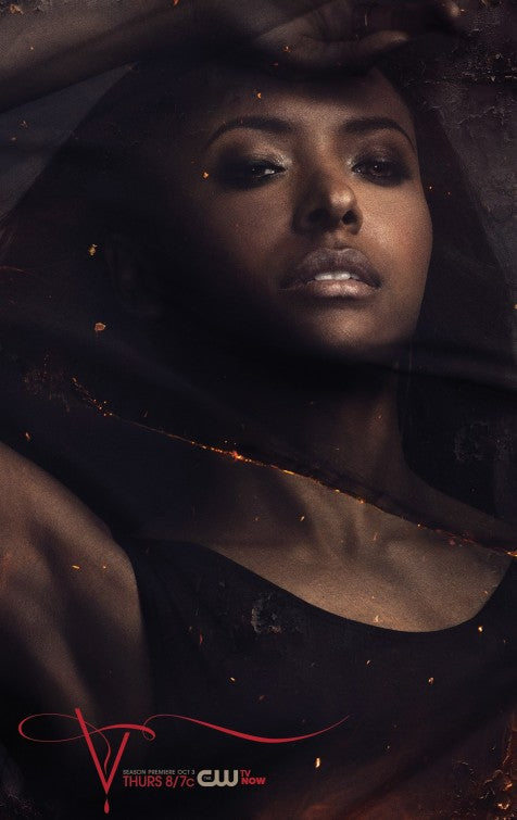 1000 piece jigsaw puzzle for tv poster: The Vampire Diaries, ver52