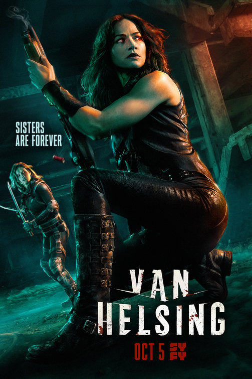 1000 piece jigsaw puzzle for tv poster: Van Helsing, ver2
