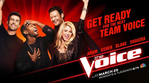 1000 piece jigsaw puzzle for tv poster: The Voice, ver7