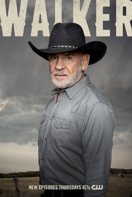 1000 piece jigsaw puzzle for tv poster: Walker, ver10