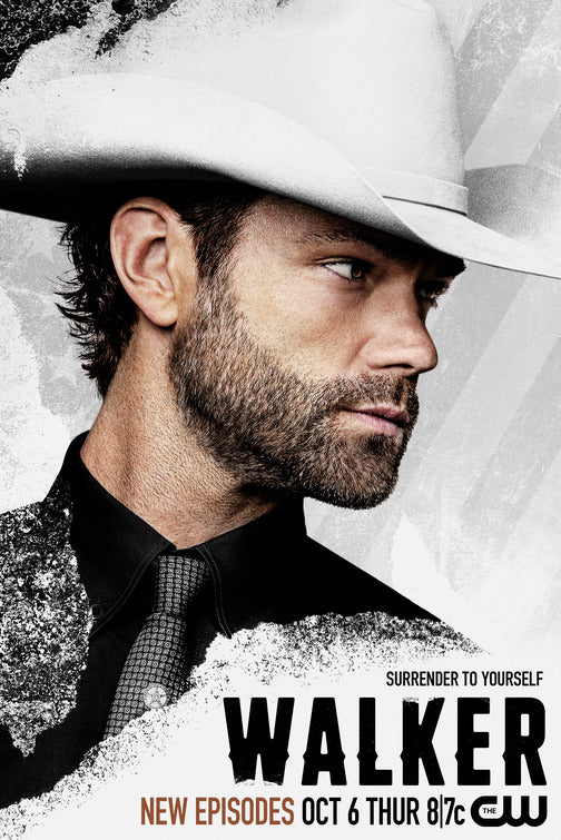 1000 piece jigsaw puzzle for tv poster: Walker, ver15