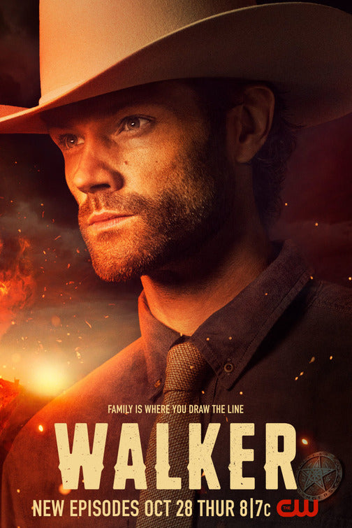 1000 piece jigsaw puzzle for tv poster: Walker, ver4