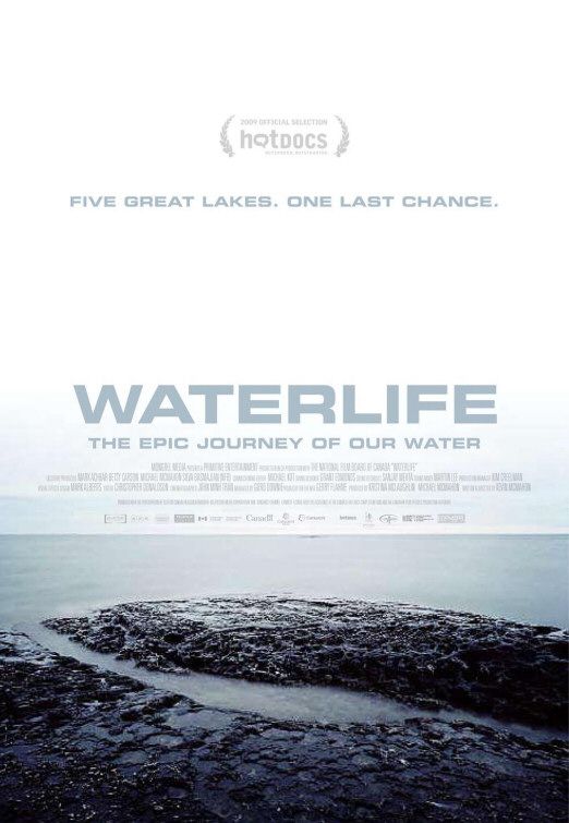 1000 piece jigsaw puzzle for the movie poster: Waterlife (2009)