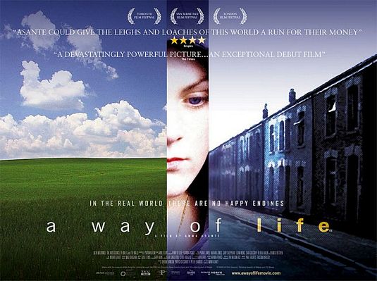 the movie poster: A Way of Life (2004)