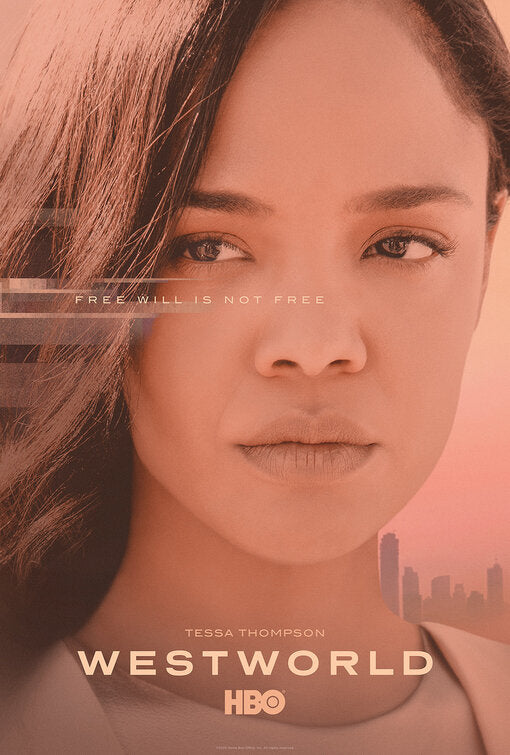 1000 piece jigsaw puzzle for tv poster: Westworld, ver18