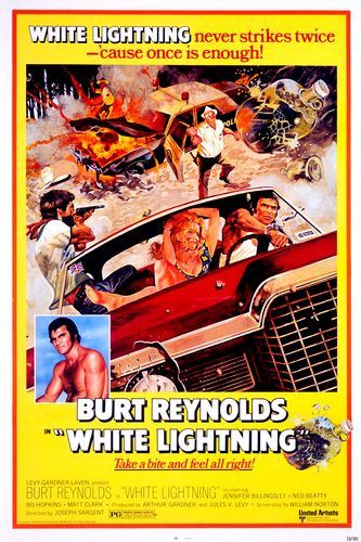 the movie poster: White Lightning (1973)