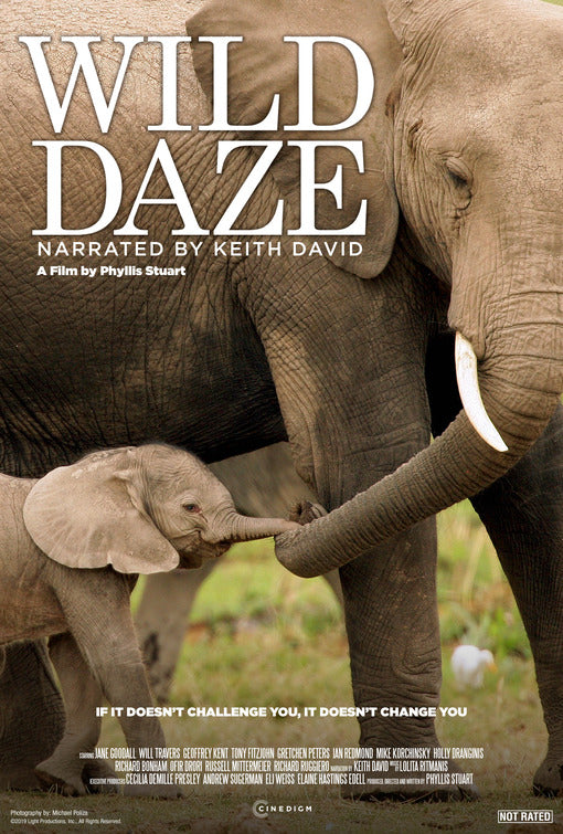 1000 piece jigsaw puzzle for the movie poster: Wild Daze (2020)