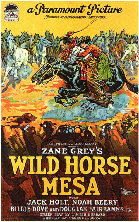 the movie poster: Wild Horse Mesa (1925)