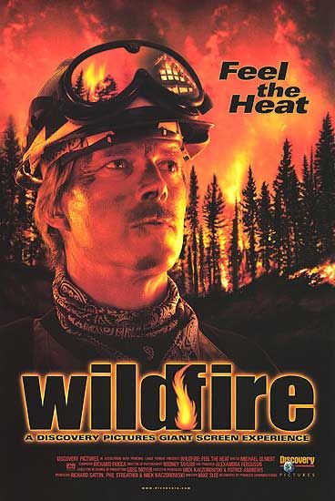 the movie poster: Wildfire (1999)