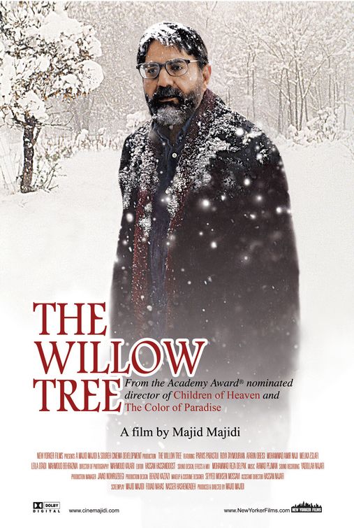 the movie poster: The Willow Tree (2007)