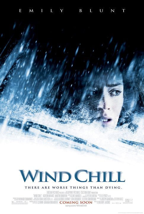the movie poster: Wind Chill (2007)