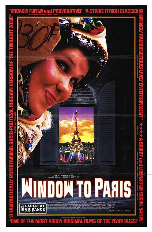 the movie poster: Window To Paris (1995)