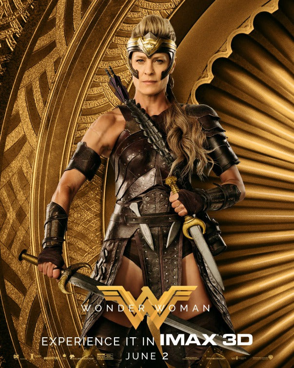 1000 piece jigsaw puzzle for the movie poster: Wonder Woman (2017) ver14
