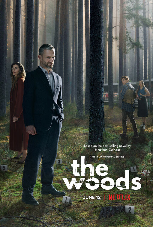 1000 piece jigsaw puzzle for tv poster: The Woods