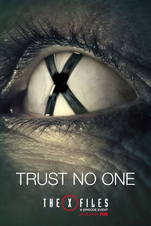 1000 piece jigsaw puzzle for tv poster: The X Files, ver5