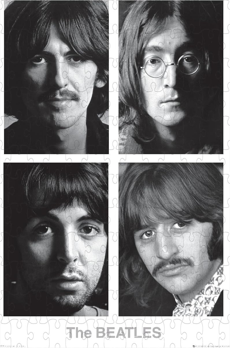 A clean and subtle visual inspired by The Beatles' White Album, ideal for modern d¨¦cor
